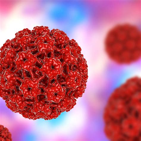 Cuantas personas tienen el virus del papiloma humano VPH HPV Clínica Palacios