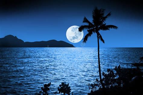 photo about a full moon rising in tropical fiji night with palm tree image of ocean moon