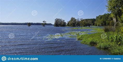 The Lake Talquin State Park And Forest Tallahassee Florida Stock