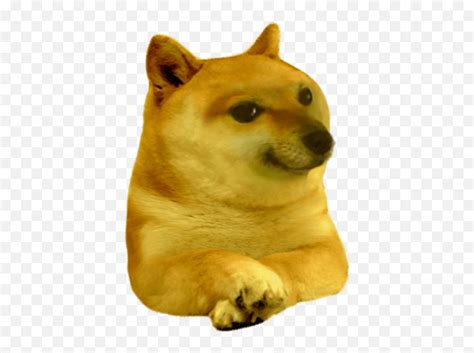The Best 25 Cheems Dog Meme Face Png Greatblockcolor