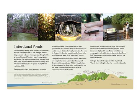 The Nature Conservancy North Carolina Chapter 8 Dot Graphics Llc