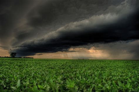 Storm Rolling In Over A Bean Field Clouds Field Wallpaper Cloud