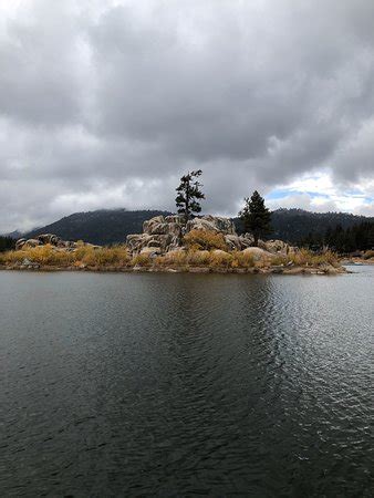 The pet care industry took a long time to figure out why dogs are freaked out when they go to the vet. Boulder Bay Park (Big Bear Lake) - 2020 All You Need to ...