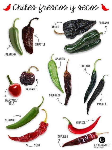 Fresh And Dried Mexican Chillies Guide Stuffed Peppers Mexican