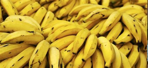 Uk Foundation Campaigns For Colombian Banana Farmers