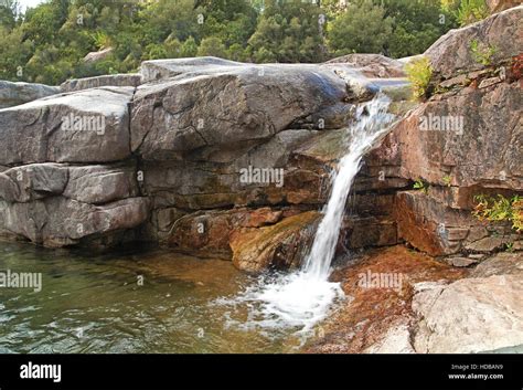 Cascade Falls Over Mossy Rocks In Deep Forest Stock Photo Alamy