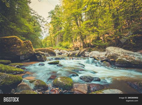 Beautiful River Forest Image And Photo Free Trial Bigstock