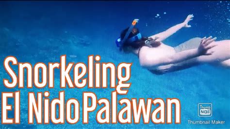 Snorkeling In El Nido Palawan Philippines Youtube