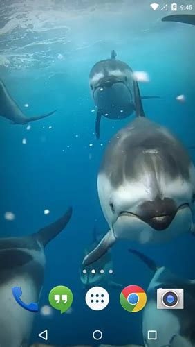 Todos os livros podem ser. Ocean 3D: Dolphin para Android baixar grátis. O papel de parede animado Oceano 3D: Golfinho de ...