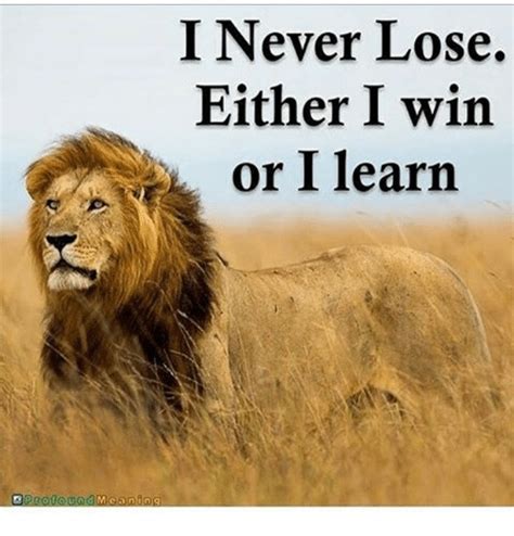 Read more quotes from nelson mandela. I Never Lose Either I Win Or I Learn - Meme Painted