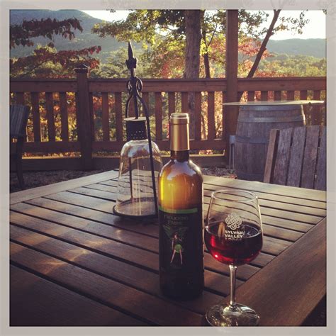 North Georgia Wine Country Happy Hour Sylvan Valley Lodge Has 4