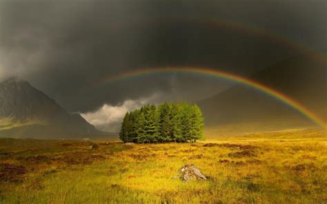 Hd Wonderful Rainbow Over An Isl Of Trees Wallpaper Download Free 65483