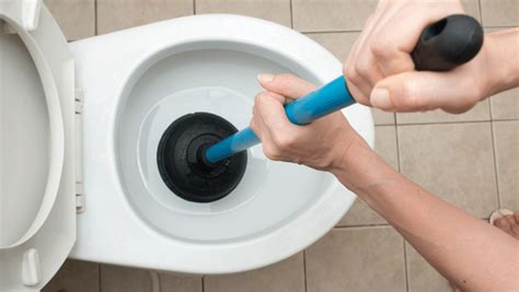 How To Clear A Blocked Toilet Pipe Relining Solutions