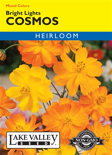 Cosmos Bright Lights Mixed Colors Item 375 Lake Valley Seed