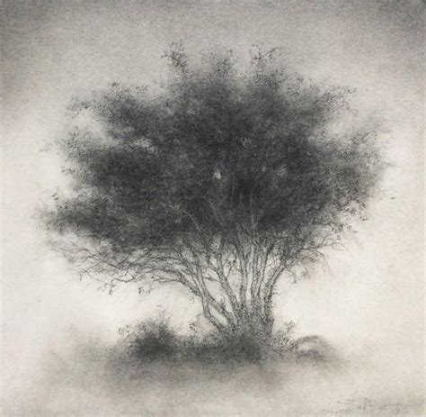 Sue Bryan Little Scrap Realistic Black And White Charcoal Tree