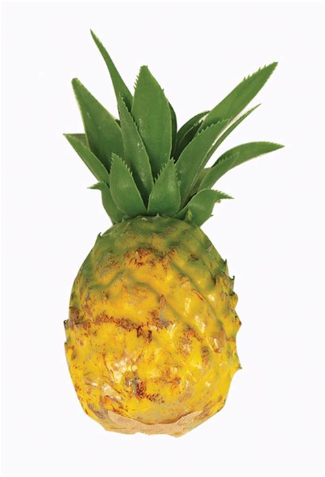 The pineapple (ananas comosus) is a tropical plant with an edible fruit and the most economically significant plant in the family bromeliaceae. Fake Pineapple 20 x 8cm - Fruit