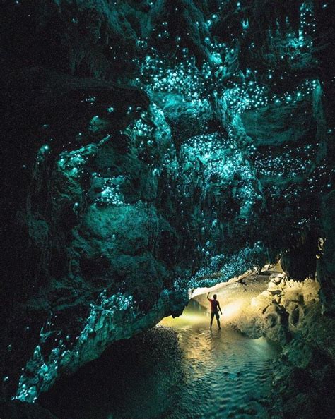 Glow Worm Caves New Zealand Glowworm Caves New Zealand Travel