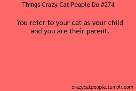 Things Crazy Cat People Do Crazy Cats Crazy Cat People Crazy Cat
