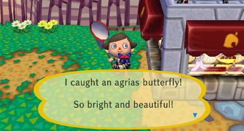 Agrias Butterfly Animal Crossing Wiki Fandom Powered By Wikia