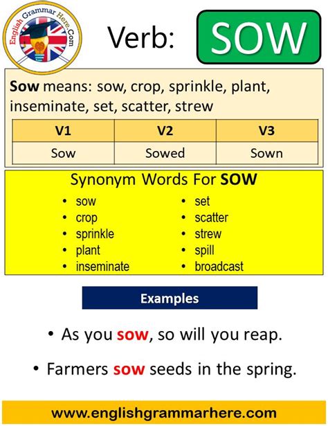 sow past simple simple past tense of sow past participle v1 v2 v3 form of sow when learning
