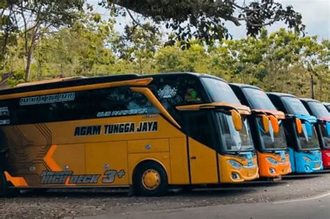 Siapa Pemilik Bus Agam Tungga Jaya Ternyata Ownernya Punya 2 Po Okezone Otomotif