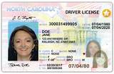 How Much Does It Cost To Get My Cdl License Images