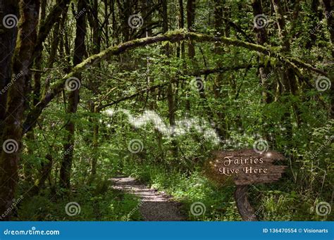 Fairies In Forest On Magical Path Stock Photo Image Of Landscape