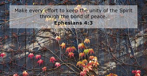 Ephesians 43 Bible Verse Of The Day