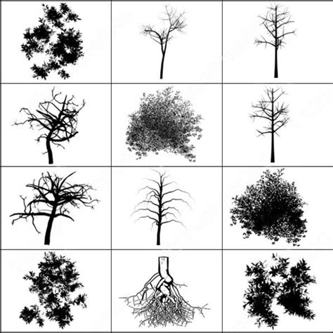 Thousands of new tree photoshop resources are added every day. Tree brush photoshop brushes in Photoshop brushes abr ...