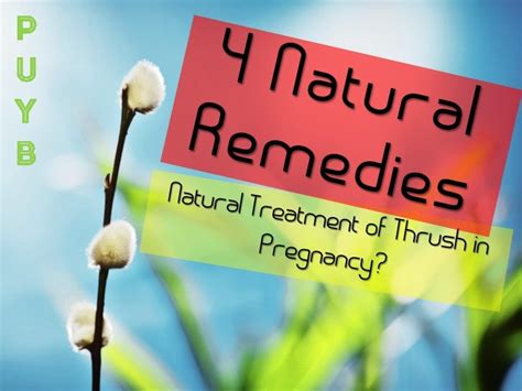 4 natural home remedies of yeast infection thrush in pregnancy