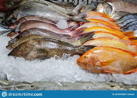 Fresh Fish On Counter Of A Seafood Restaurant Different Types Of