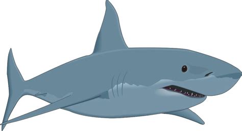 Free Cute Shark Cliparts Download Free Cute Shark Cliparts Png Images
