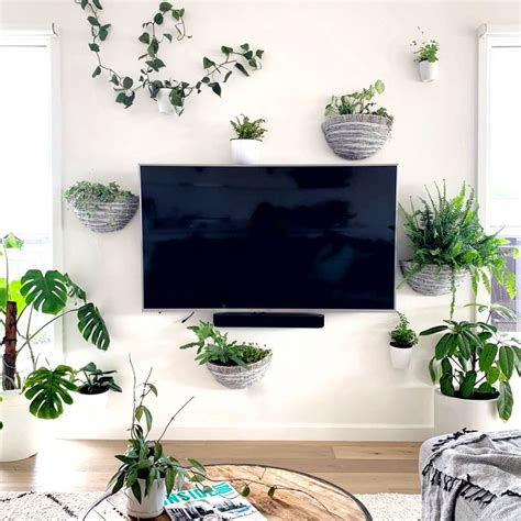 55 Marvelous Indoor Plants Design Ideas To Freshen Your Home