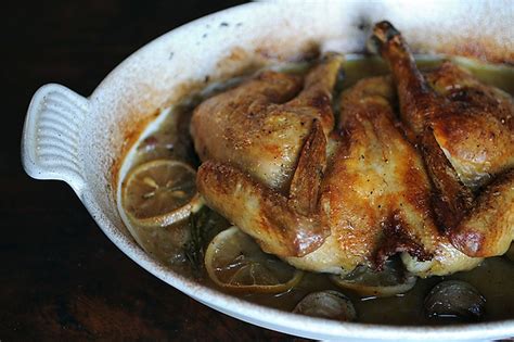 spatchcocked and braise roasted chicken recipe on food52