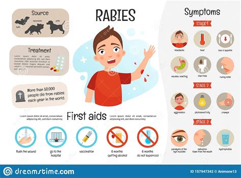 Rabies is a deadly virus spread to people from the saliva of infected animals. Vector Medical Poster Rabies. Stock Vector - Illustration ...