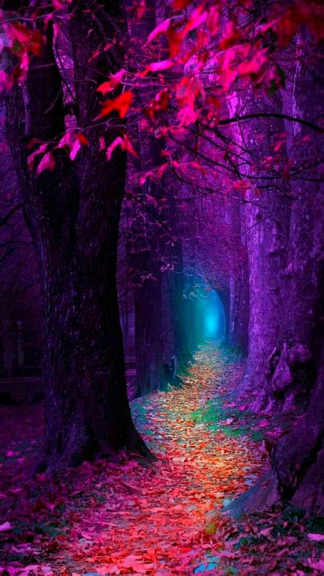 See more ideas about beautiful wallpapers backgrounds, beautiful wallpapers, wallpaper discover photos, videos and articles from friends that share your passion for beauty, fashion. This magical forest Is beyond belief So many colors I see ...