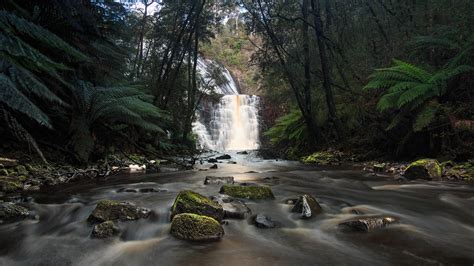 Waterfalls Of Tasmania