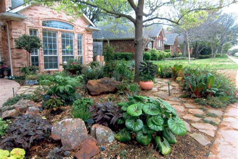 Show Off Your Xeriscape In Water Wise Landscape Tour Oak Cliff
