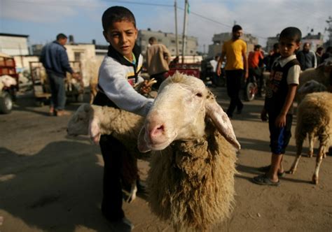 Hari raya idul adha jatuh pada tanggal 10 bulan dzulhijjah, hari ini jatuh persis 70 hari setelah perayaan idul fitri. IDUL ADHA 2017: Tradisi Unik Hari Raya Kurban di Berbagai ...