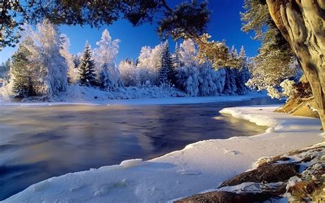Free Download Winter Landscape Desktop Backgrounds Free