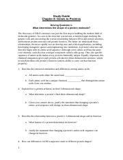 Biology chapter 8 from dna to proteins. Chapter 8 Study Guide (1).docx - Study Guide Chapter 8 ...