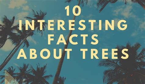 10 Interesting Facts About Trees Plant Trees Save Trees