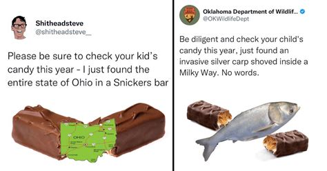 The Funniest Check Your Kids Halloween Candy Tweets Memebase