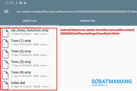 Maybe you would like to learn more about one of these? Cara Instal Preset Lightroom mobile .XMP di Android dan IOS