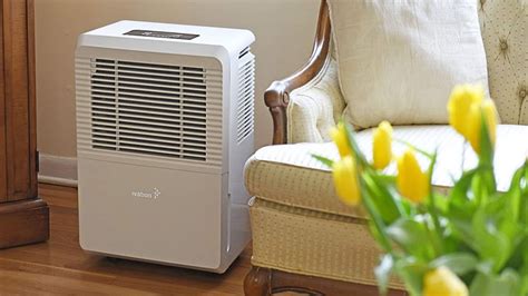 The size dehumidifier you need depends on the size of the indoor space and its moisture levels. What size dehumidifier do you need? A room-by-room guide ...