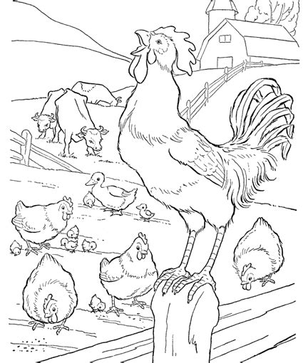 Farm Animal Coloring Pages High Resolution