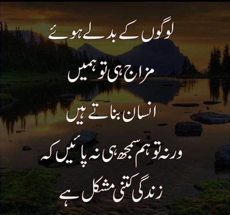 Definitely True Emotional Poetry Funny Quotes In Urdu