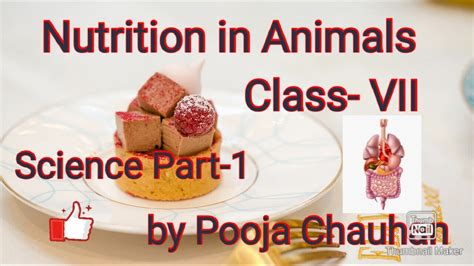 Nutrition In Animals Class Vii Science Part 1 By Pooja