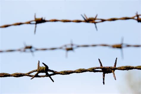 Free Barbed wire texture Stock Photo - FreeImages.com