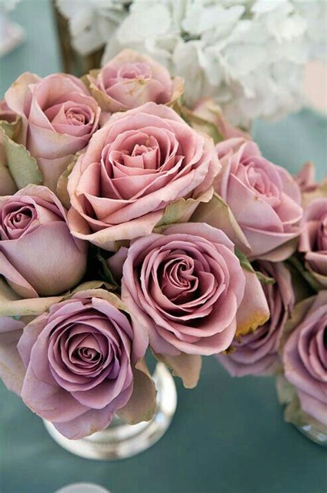 Incredible Amnesia Roses Pink Rose Bouquet Dusty Pink Weddings